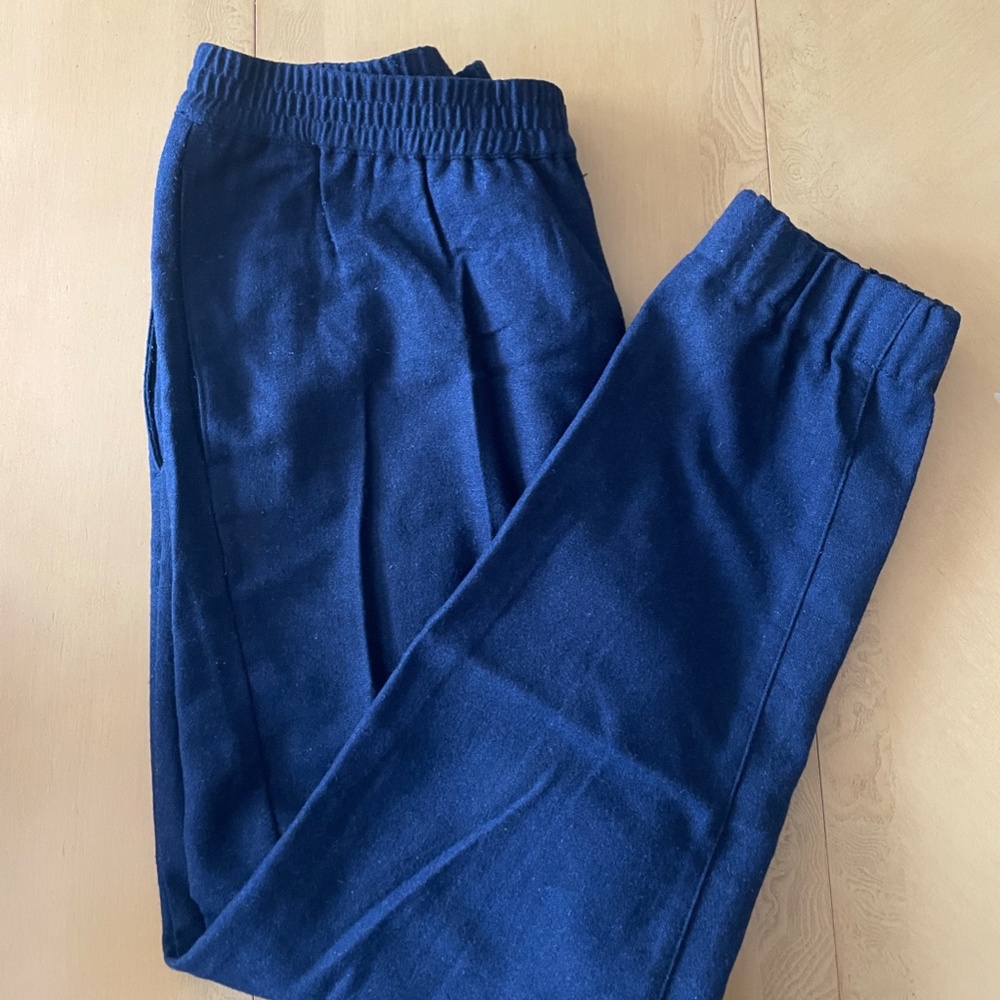 J.Crew Men's Pants 36 Blue Wool Sideline Jogger b1131